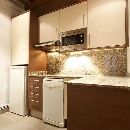 Borne Down Town Apartment