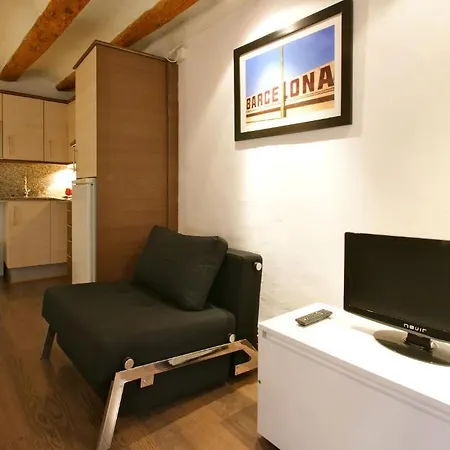 Borne Down Town Apartment Barcelona