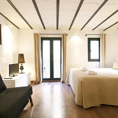 Borne Down Town Apartment *