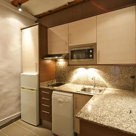 Borne Down Town Apartment