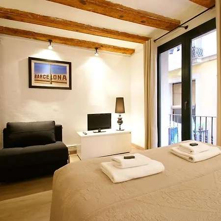Borne Down Town Apartment *