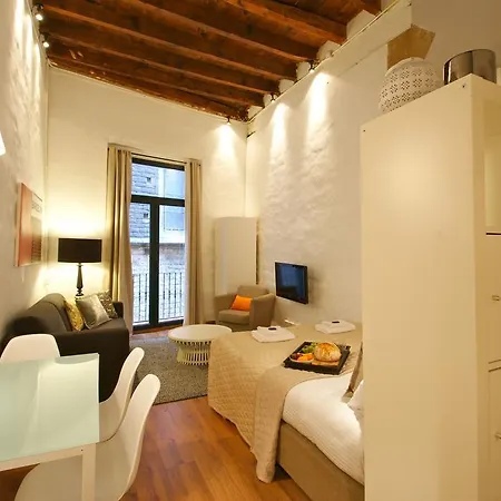 Borne Down Town Apartment *