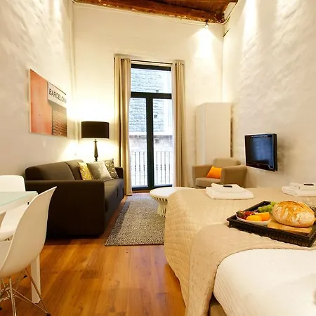 Borne Down Town Apartment *
