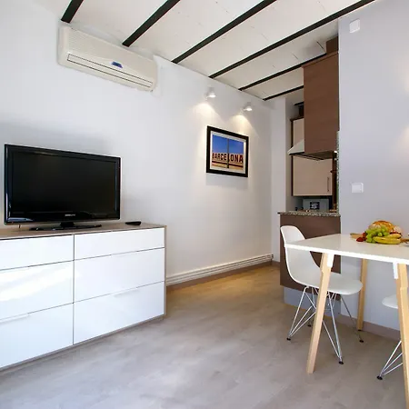 Apartment Borne Down Town *