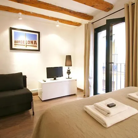 Appartamento Borne Down Town *