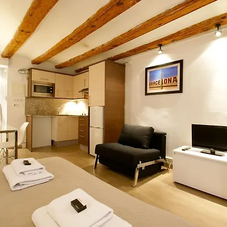 Appartamento Borne Down Town *